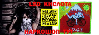 прущие крисы Бийск