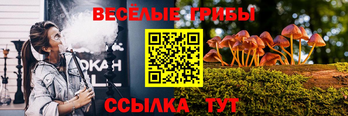 Каменск-Шахтинский  Псилоцибиновые грибы мухоморы  Вход с VPN 